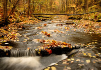 Wolf Creek ( late fall )